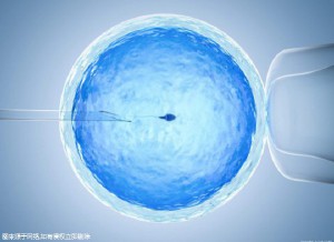 代生选性别供卵代生医院